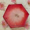Resin Coaster